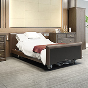 Giường Paramount Bed PA-90000 Series VIP